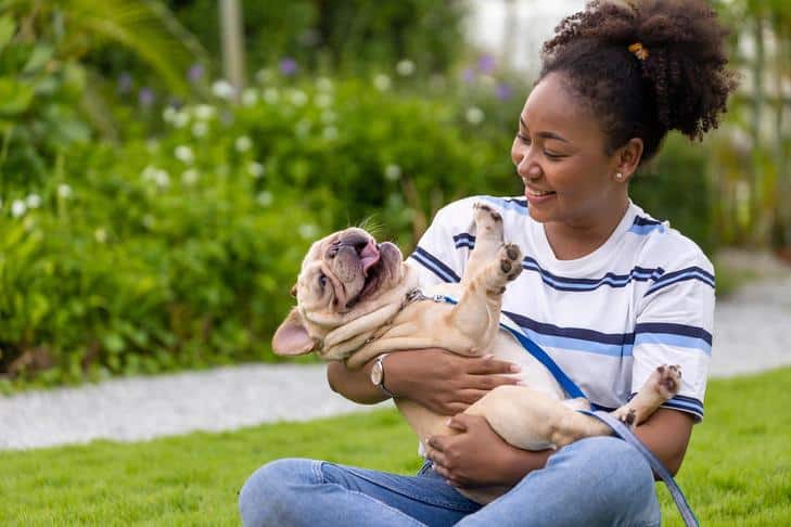 Cachorro Perdido? O Que Fazer Se Seu Animal De Estimação Desaparecer