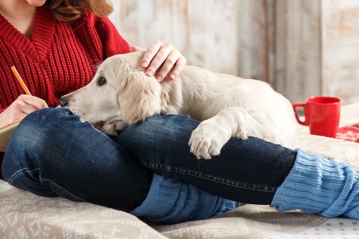 Os donos de cães podem experimentar o 'Puppy Blues?'