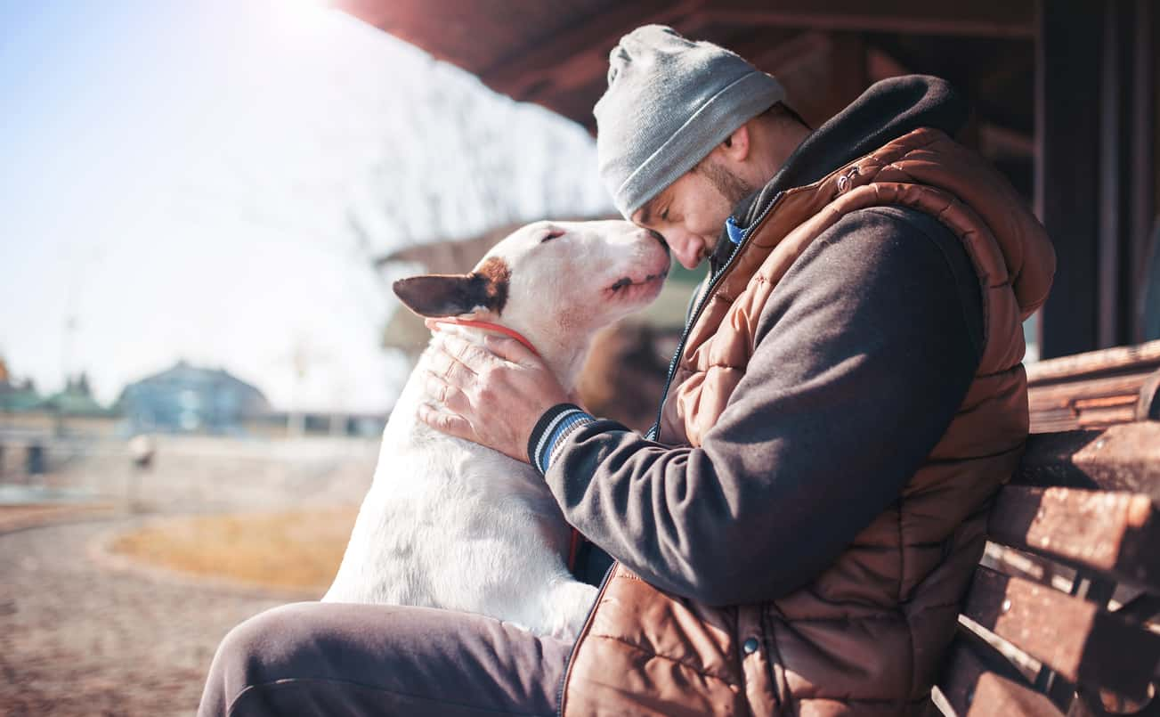 Como criar um vínculo com seu cachorro: 12 maneiras comprovadas de fortalecer seu relacionamento