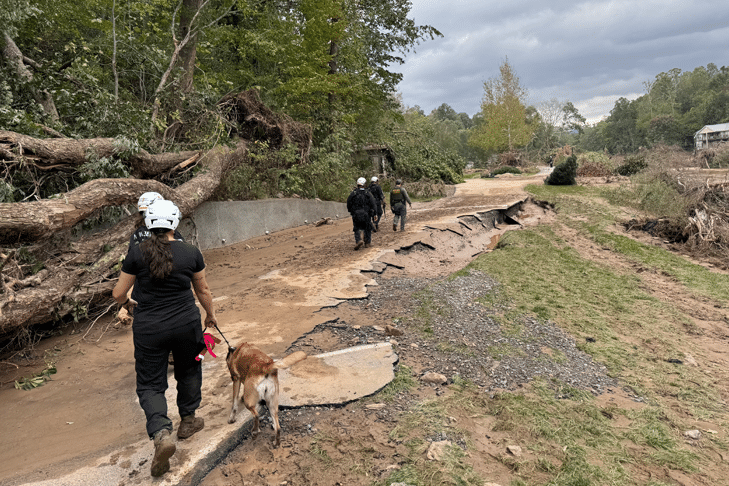 Equipes voluntárias de cães de busca e resgate respondem ao desastre após o furacão Helene