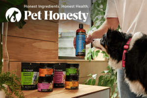 Benefícios de multivitaminas para cães